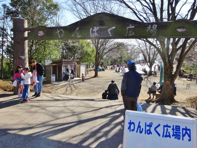 佐野アウトレットすぐ 周辺の子供の遊び場はみかも山公園で決まり